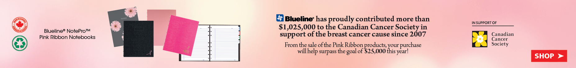 Blueline Pink Ribbon Notebooks